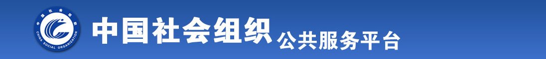 外国老妇网站导航全国社会组织信息查询